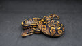 PITON BOLA BLACK PASTEL YELLOWBELLY DH DESERT GHOST /CLOWN