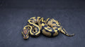 PITON BOLA MACHO FIRE DH DESERT GHOST / CLOWN POSS HET HYPO
